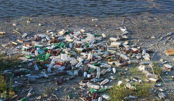 Plastic pollution along waterway