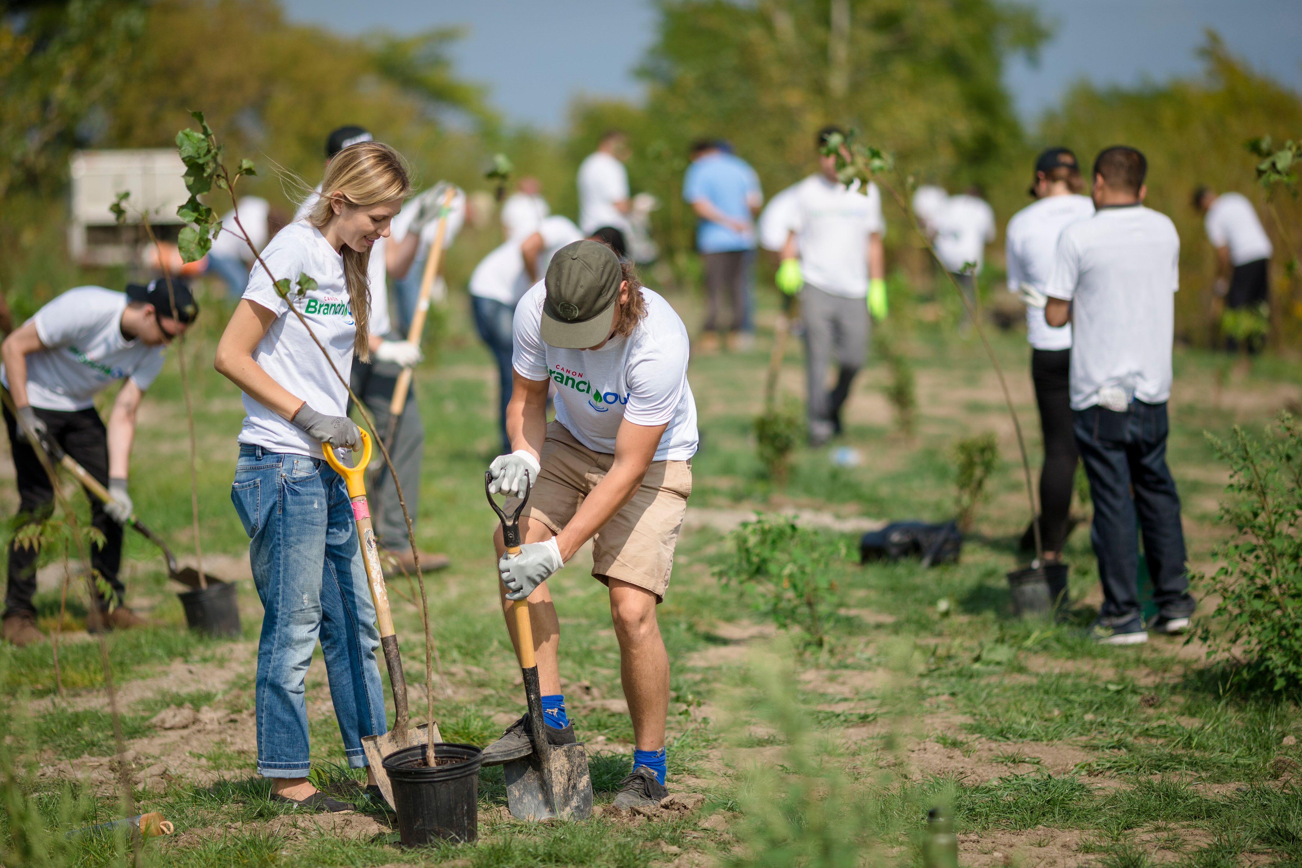 Community tree planting volunteers
